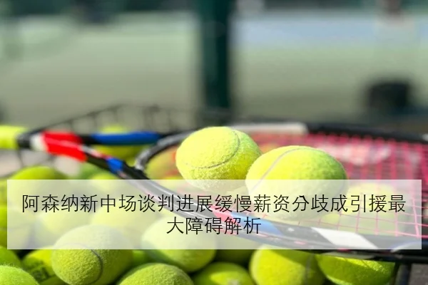 阿森纳新中场谈判进展缓慢薪资分歧成引援最大障碍解析